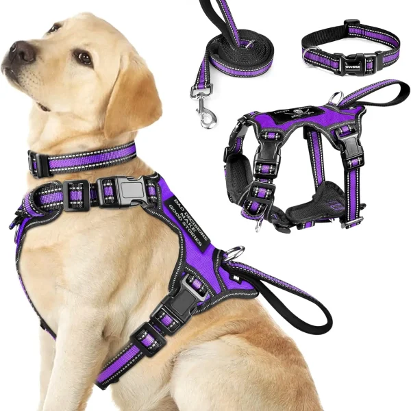 Pet Harness Collar and Leash Set All-in-one Reflective